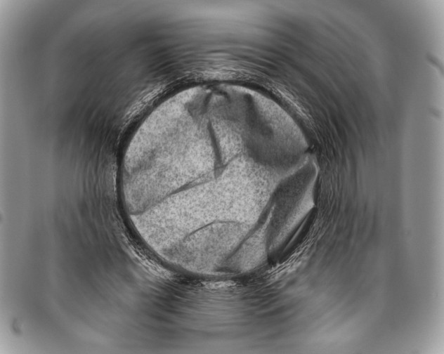 X0000095880446200802081059