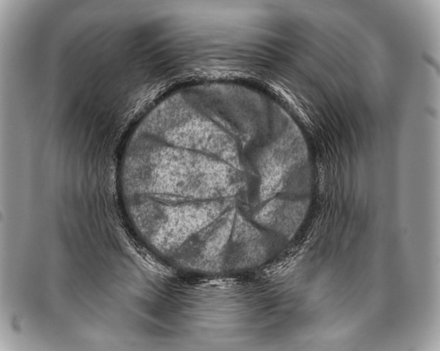 X0000095880447200802081059