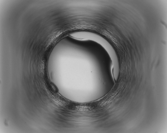 X0000095880448200802081059