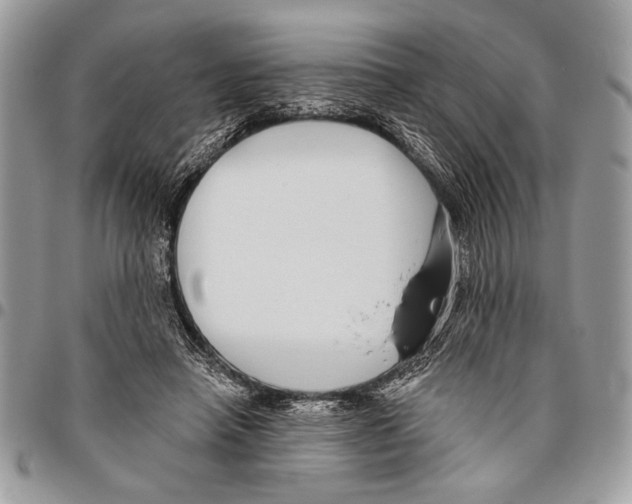 X0000095880450200802081059