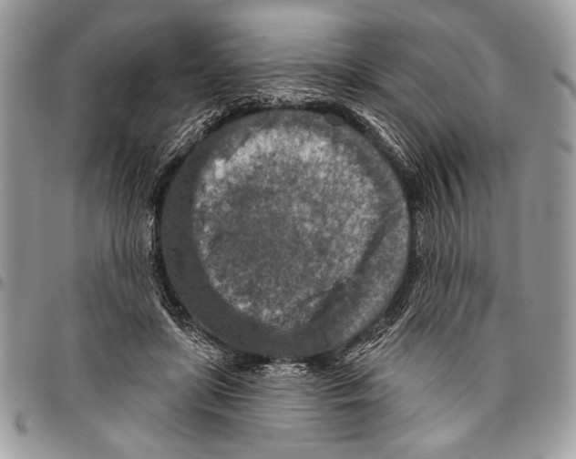 X0000095880451200802081059