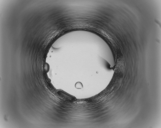 X0000095880452200802081059