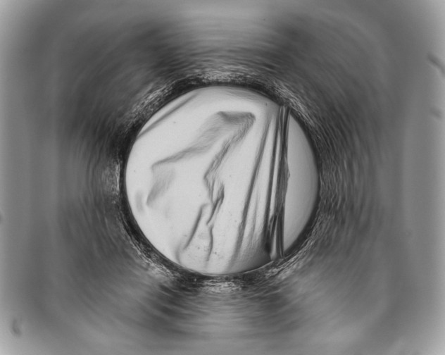 X0000095880454200802081059