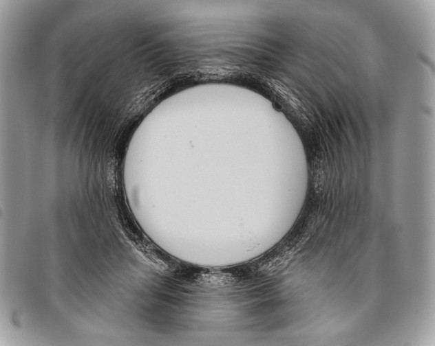 X0000095880455200802081059