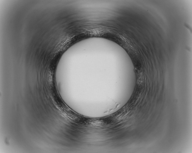 X0000095880456200802081059