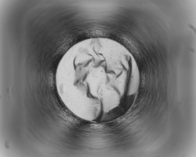 X0000095880457200802081059