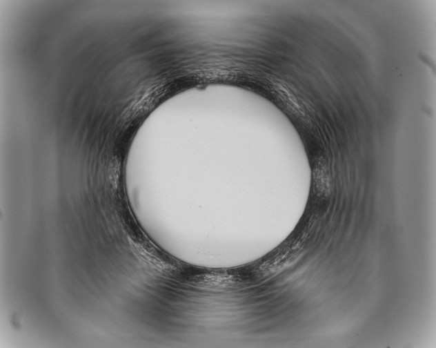 X0000095880458200802081059