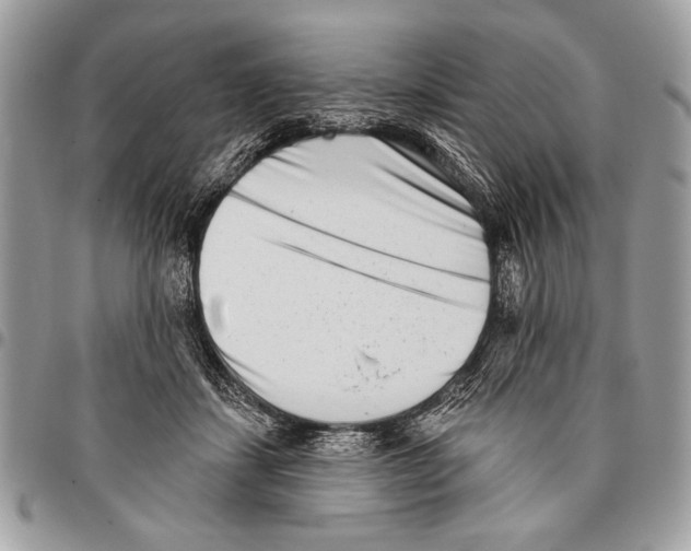 X0000095880459200802081059