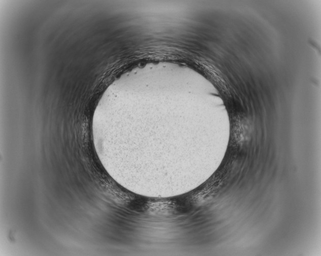 X0000095880461200802081059