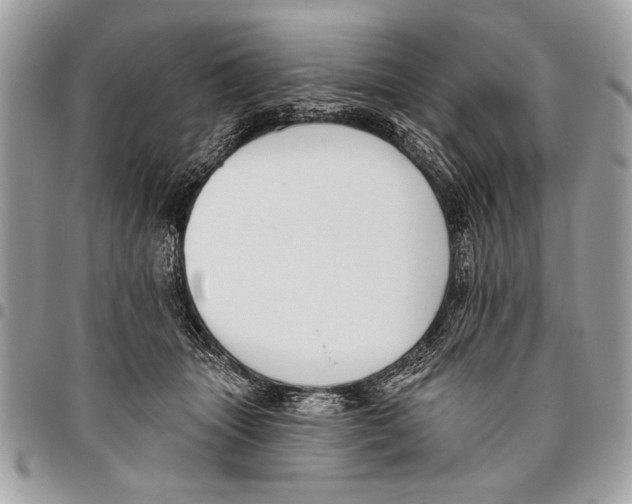 X0000095880463200802081059