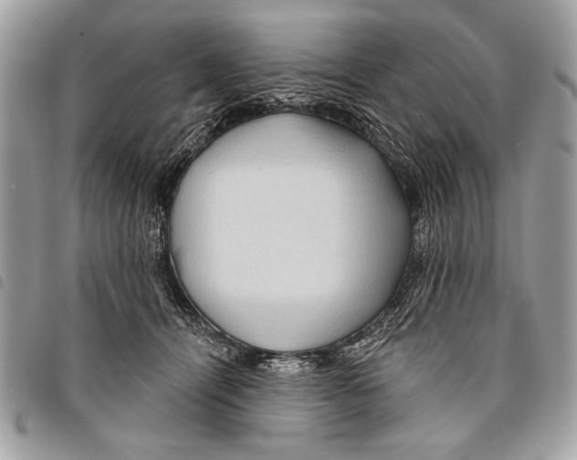 X0000095880464200802081059