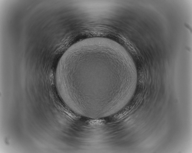 X0000095880465200802081059