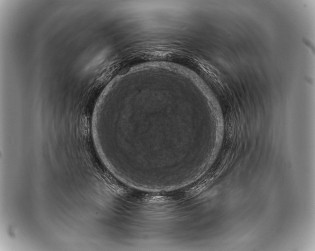 X0000095880467200802081059