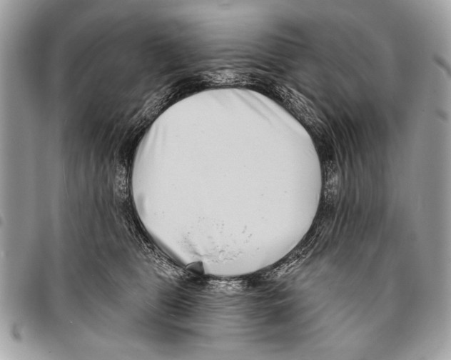 X0000095880469200802081059