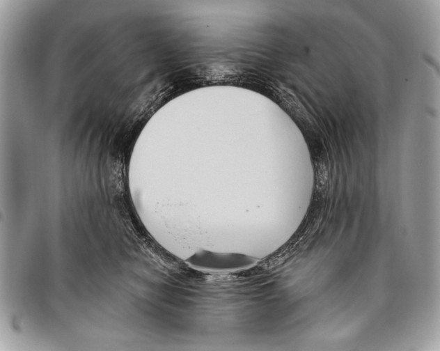 X0000095880470200802081059