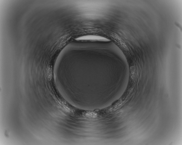 X0000095880471200802081059