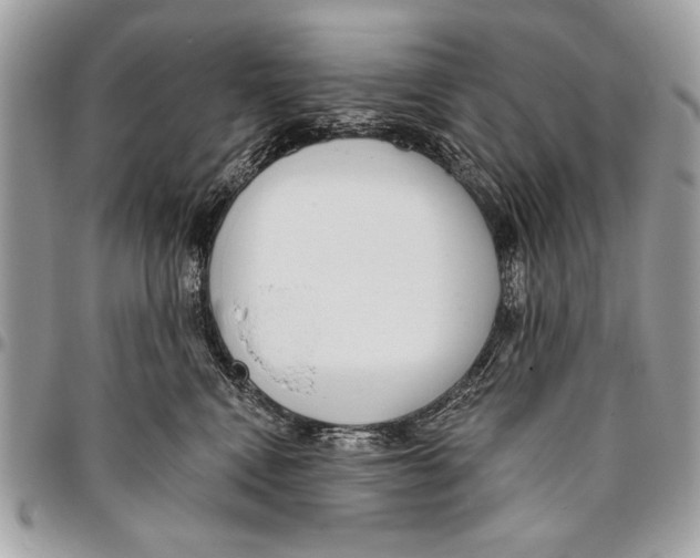 X0000095880472200802081059