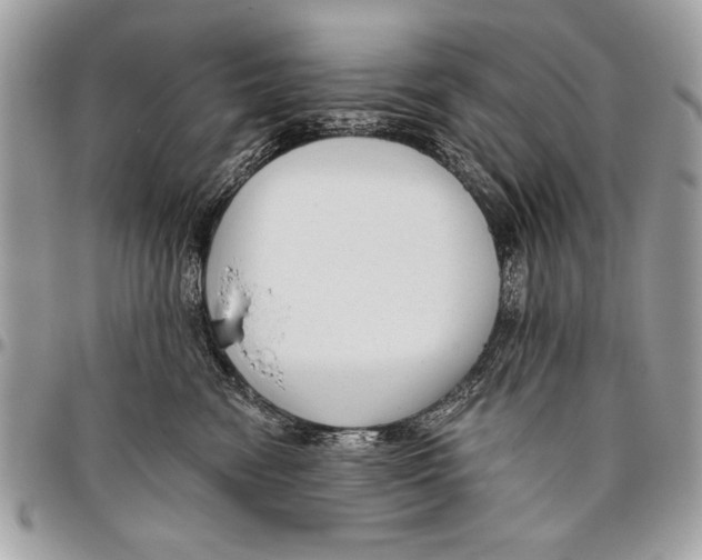 X0000095880474200802081059