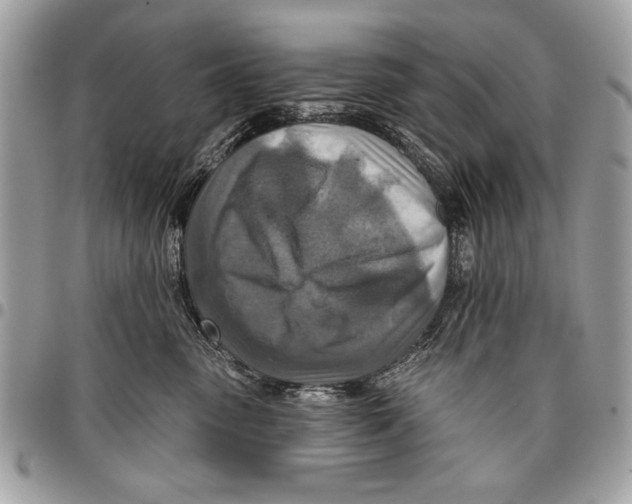 X0000095880475200802081059