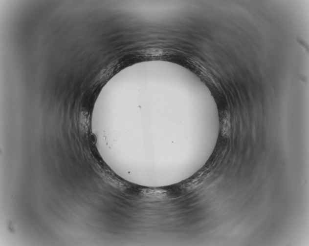 X0000095880476200802081059