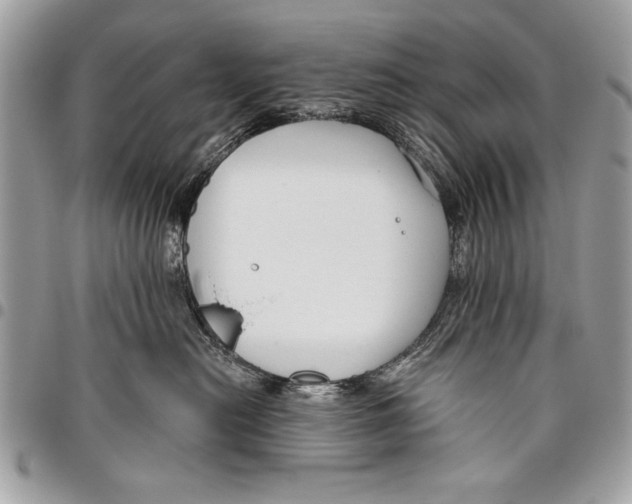 X0000095880478200802081059