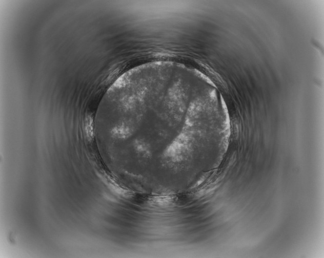 X0000095880479200802081059