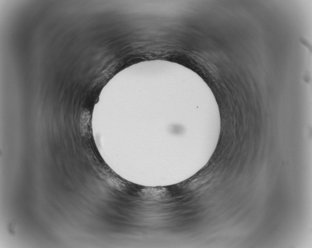 X0000095880480200802081059