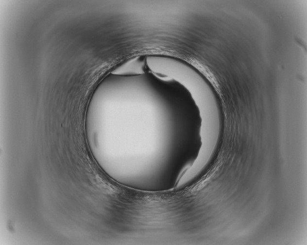 X0000095880481200802081058