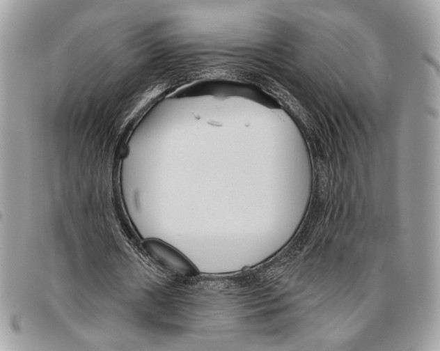 X0000095880482200802081058