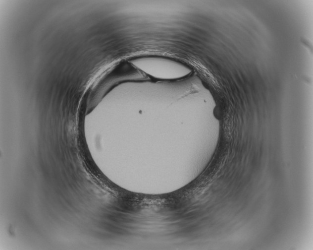 X0000095880484200802081058