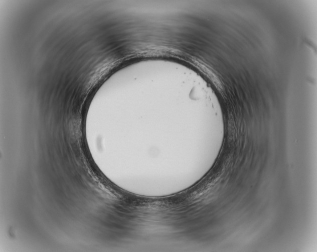 X0000095880485200802081058