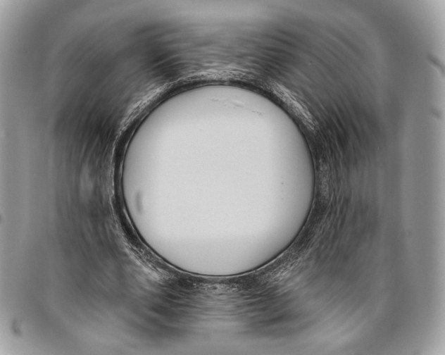 X0000095880486200802081058