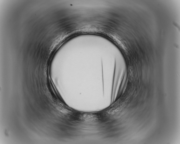 X0000095880487200802081058