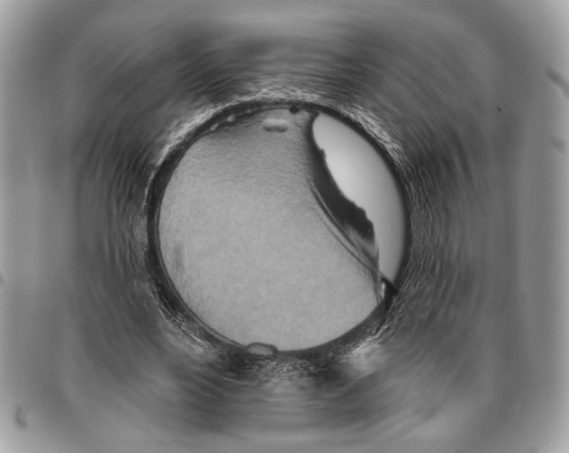 X0000095880488200802081058