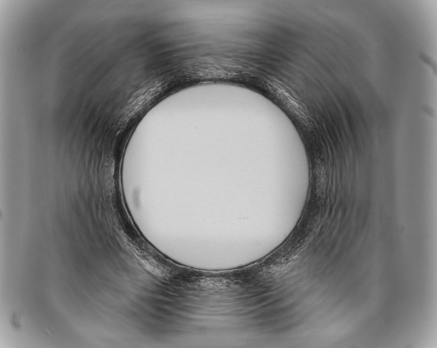 X0000095880490200802081058