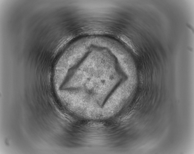 X0000095880491200802081058