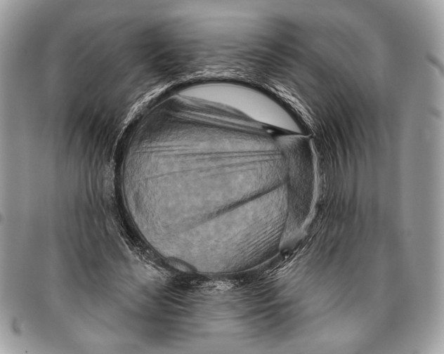 X0000095880492200802081058