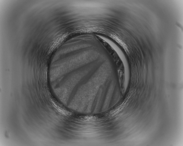 X0000095880493200802081058