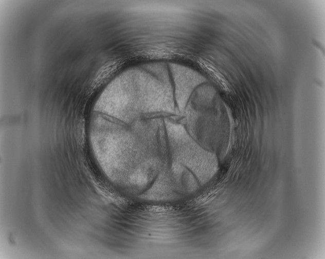 X0000095880494200802081058