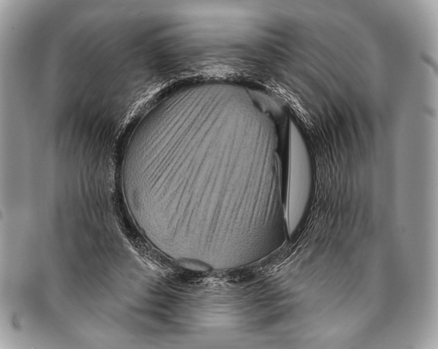 X0000095880496200802081058