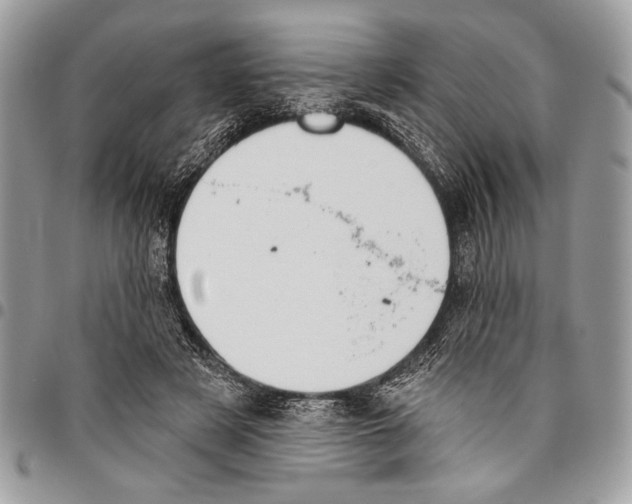 X0000095880497200802081058