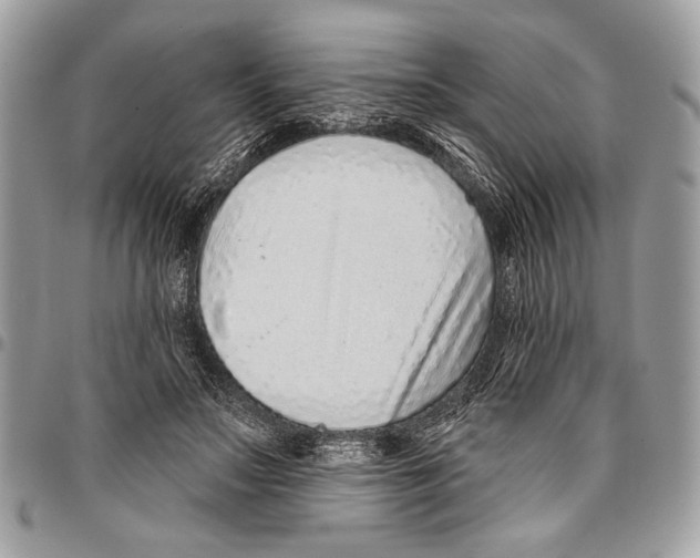 X0000095880499200802081058