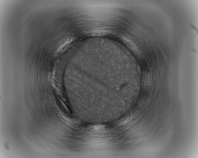 X0000095880501200802081058