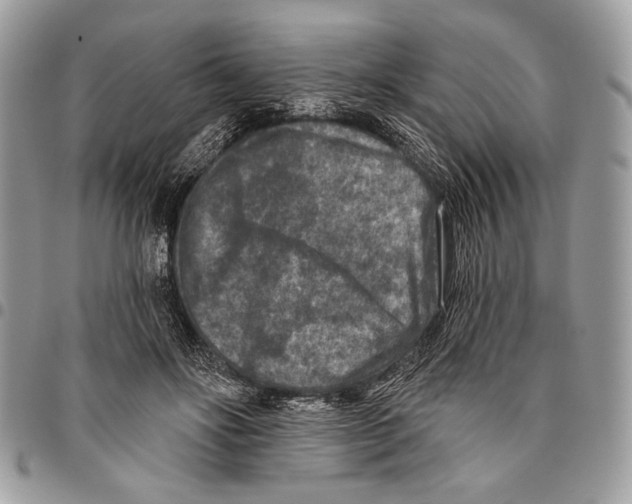 X0000095880502200802081058