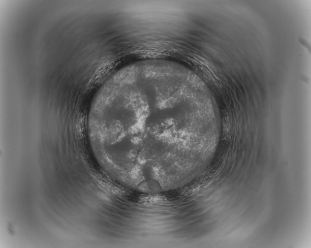 X0000095880503200802081058