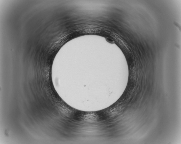 X0000095880505200802081058