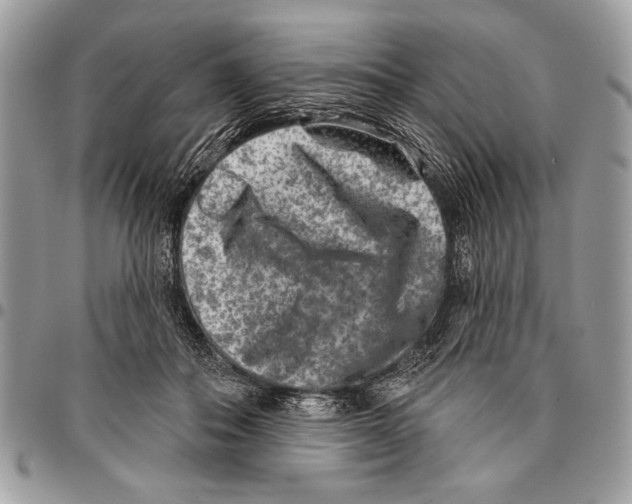 X0000095880506200802081058