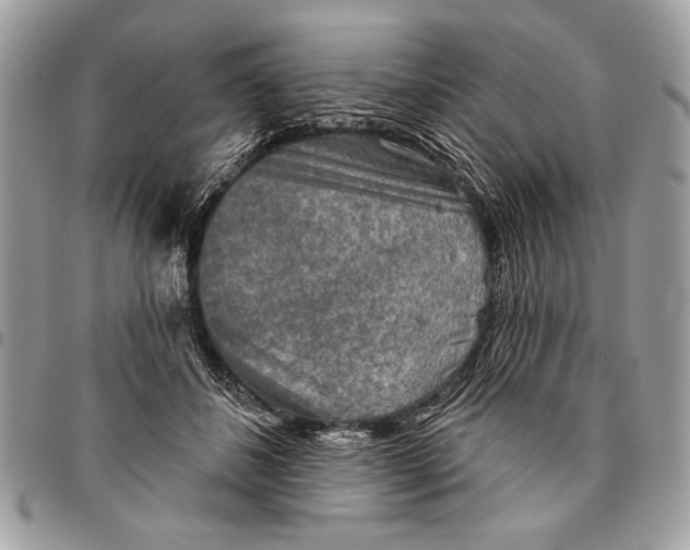 X0000095880508200802081058