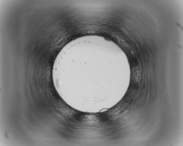 X0000095880509200802081058