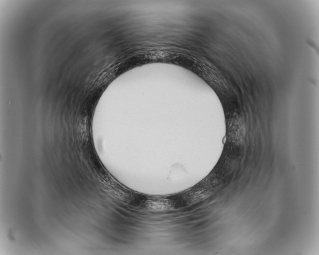 X0000095880510200802081058